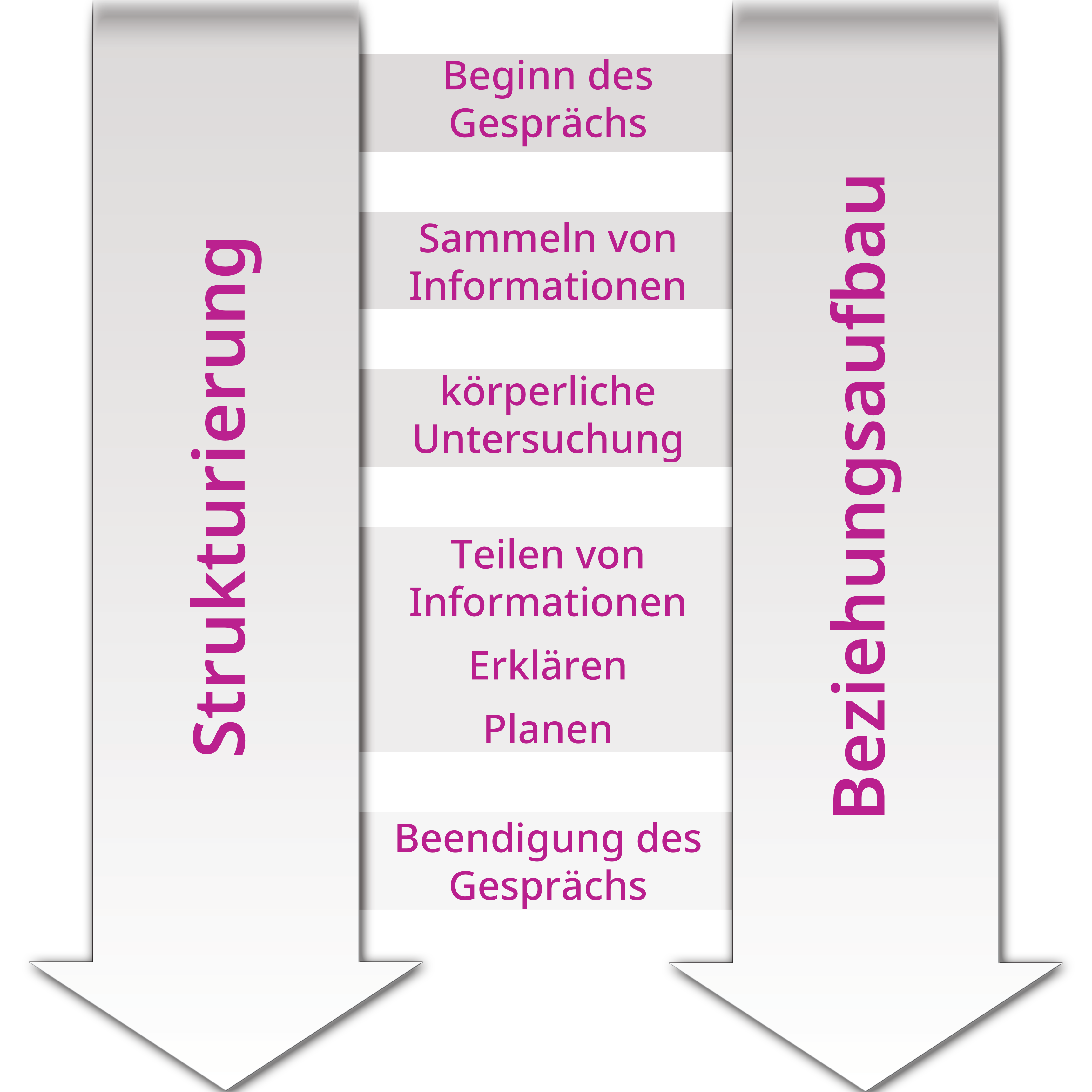 CCOG Schema